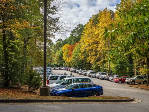 A tree-lined parking lot with rows of cars under autumn trees and a cloudy sky
