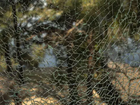 Crazed cracked glass with green trees blurred behind it