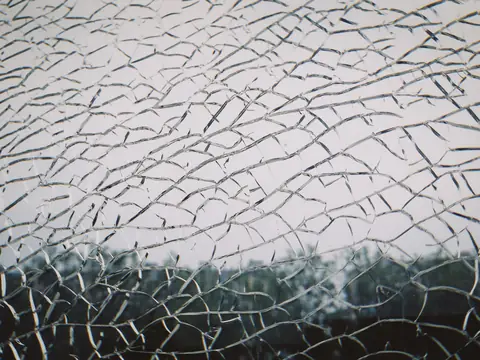 A web of cracks across a pane of glass against a bright white sky, dark trees along the foot